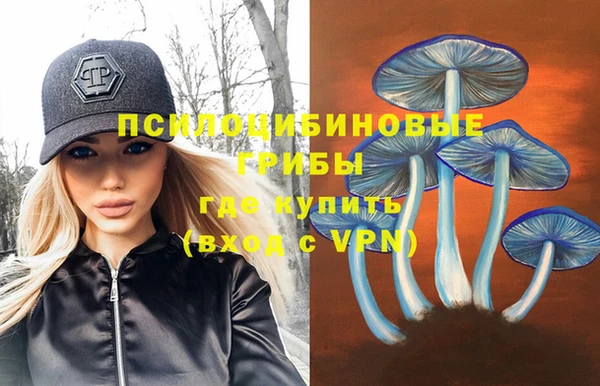 мяу мяу мука Гусиноозёрск