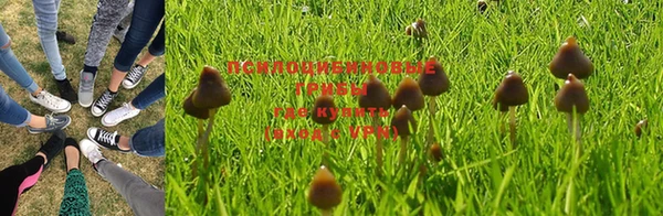 мяу мяу мука Гусиноозёрск