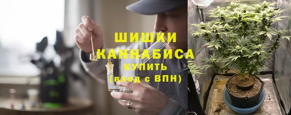 spice Гусь-Хрустальный